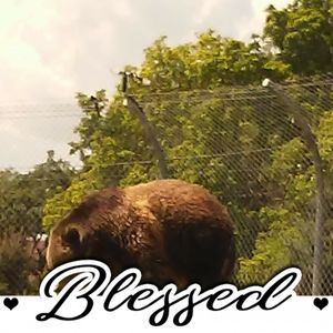 Meet your Posher, Kerry